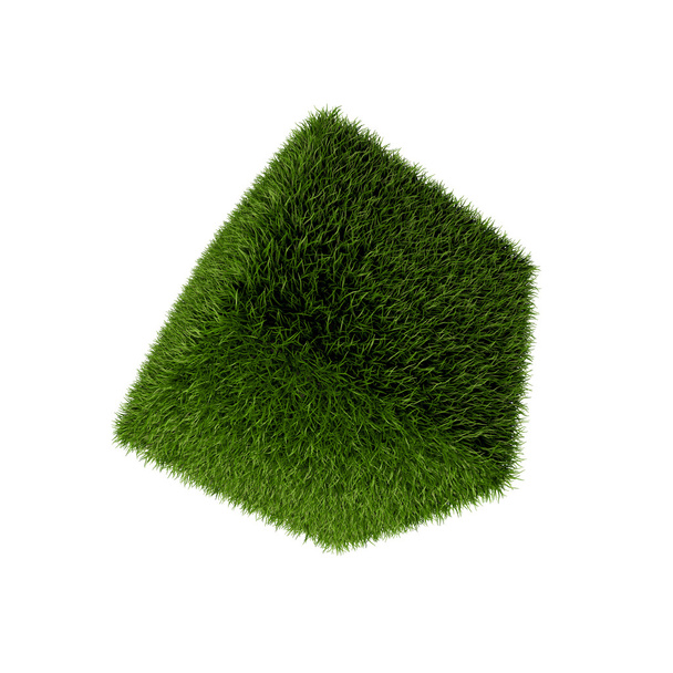 Куб травы
 - Фото, изображение
