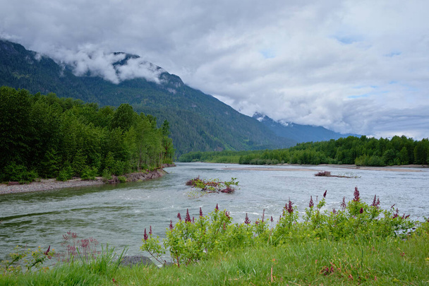 A rainy day with clouds hanging around the mountain tops.  The Squamish river flows through forest to Howe Sound.  BC, Canada - Photo, Image