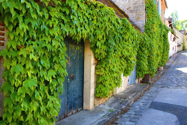 Le charmant village de Samois-sur-Seine en France - Photo, image