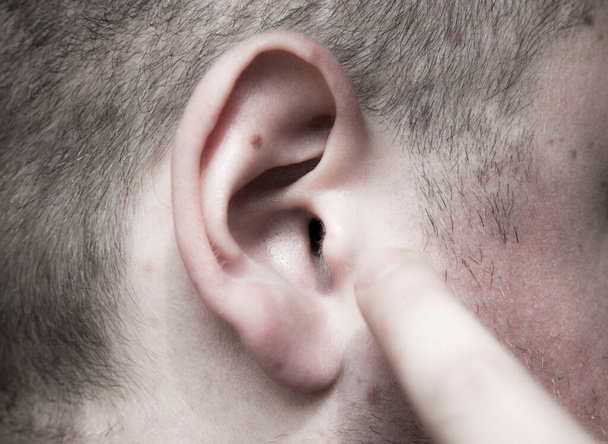 the human ear, the organ of hearing and sense of balance - Photo, Image