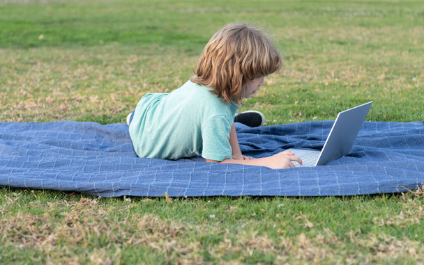 маленький мальчик использовать современные беспроводные ноутбуки на траве парка, школьный блог - Фото, изображение