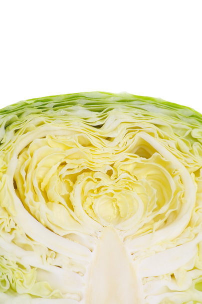 Cabbage vegetable - Photo, Image