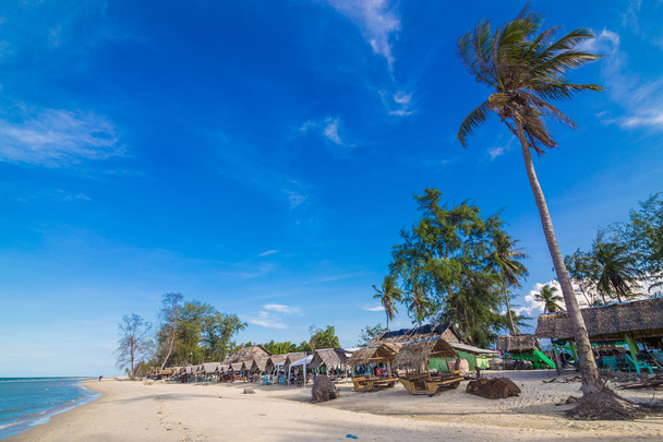Hermosa playa tropical con palmera de coco
,  - Foto, imagen