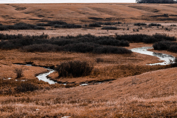 A beautiful shot of creek prairies surrounded by dry vegetation - Valokuva, kuva