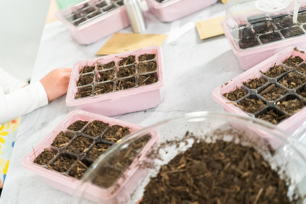 Little girl planting seeds into an indoor seed starter tray during her homeschooling. - Photo, Image