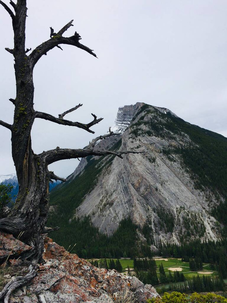 Banff & Mount Rundle spine amid spectacular scenery - Photo, Image