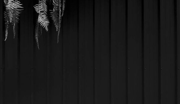 Лоза, лиана, ползунка в левом верхнем углу на черном стальном фоне в винтажном тоне. Рост растений на стенах темных затворов с копировальным пространством. Занавески или цинковые обои. - Фото, изображение
