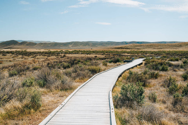 Soda Lake boardwalk, Carrizo Plain National Monument, San Luis Obispo County, California. - Foto, Imagem