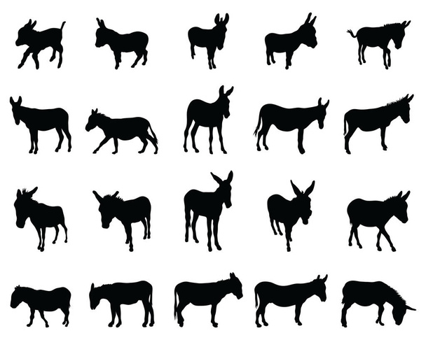 Schwarze Silhouetten von Eseln auf weißem Hintergrund - Vektor, Bild