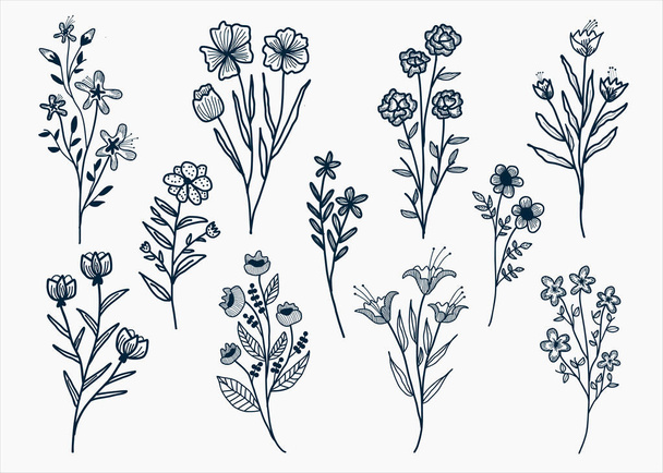Vector set of floral decorative element with hand drawn flower - Vector, Image
