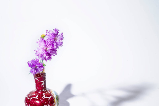 kauniit kukat maljakossa valoisalla taustalla, kesäkonsepti, lähikuva   - Valokuva, kuva