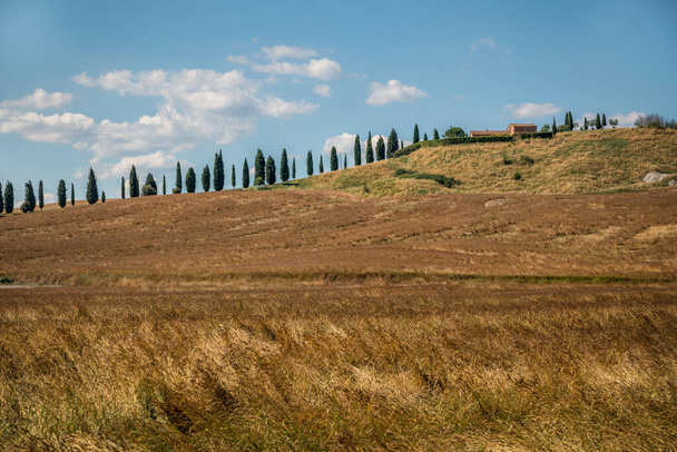 Αγροτικό τοπίο της περιοχής Asciano κατά τη διάρκεια της συγκομιδής, επαρχία Σιένα, Τοσκάνη, Ιταλία - Φωτογραφία, εικόνα