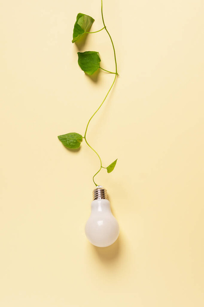 Light bulb with green plant as a concept of eco energy. Creative idea of energy saving. - Foto, afbeelding