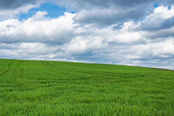 Vihreä kenttä ja sininen taivas valkoinen pilvi luonnon taustalla.Farmland. Kaunis kenttä sinistä taivasta vasten valkoisilla pilvillä. Maatalouden tilanne - Valokuva, kuva