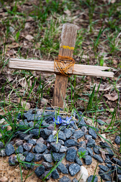 могила любимого питомца, сделанная ребенком, курган с грубым крестом, цветы  - Фото, изображение