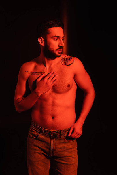 Muscular man touching chest on black background with red lighting - Photo, Image