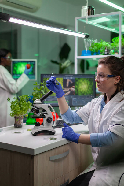 Βιολόγος splecialist λαμβάνοντας με λαβίδα δείγμα πράσινου φύλλου - Φωτογραφία, εικόνα
