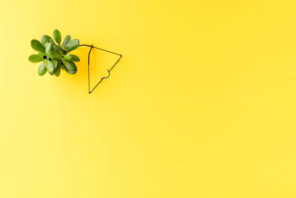 黄色の背景に眼鏡と多肉植物と現代的なオフィスのコンセプト。トップ表示 - 写真・画像