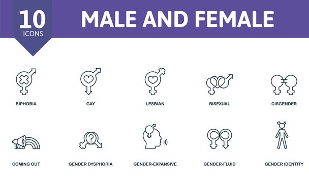 Erkek ve Kadın ikonu seti. Kurgulanabilir ikonlar içerir lgbt teması bifobi, lezbiyen, cins ve daha fazlası gibi. - Vektör, Görsel