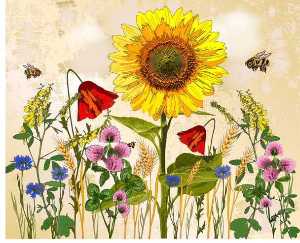 Stampa, carta d'epoca fiori e api, carta d'epoca, fiori e api, fiori di campo, estate, girasole, api, estate - Vettoriali, immagini