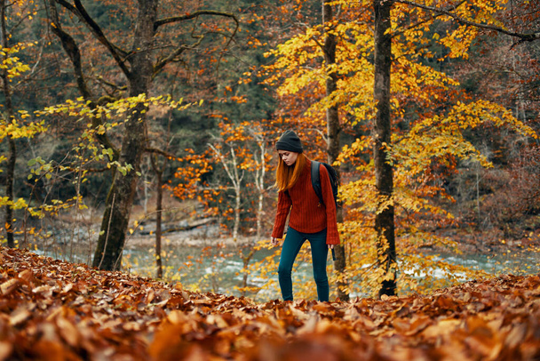женщина в свитере ходит по опавшим листьям  - Фото, изображение
