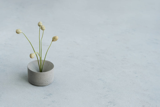 Leere Podeste oder Produkte zeigen Betonpodeste mit trockenen minimalistischen Blumen und Naturblättern auf grünem Hintergrund. Kopierraum. - Foto, Bild