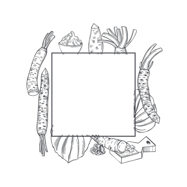 Raifort dessiné à la main wasabi, racine et feuilles. Illustration du croquis Cadre vectoriel. - Vecteur, image