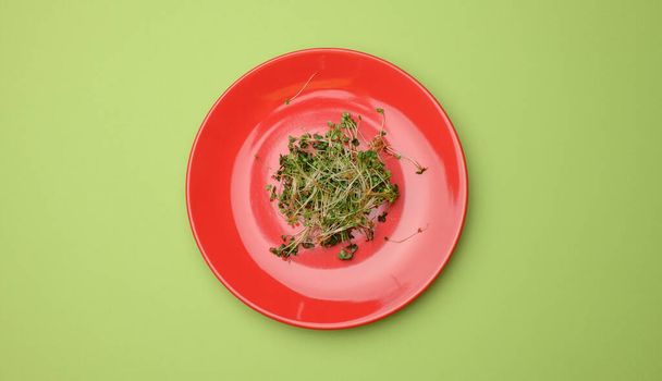 green sprouts of chia, arugula and mustard in a red round plate, top view. A healthy food supplement containing vitamins C, E and K, top view - Zdjęcie, obraz