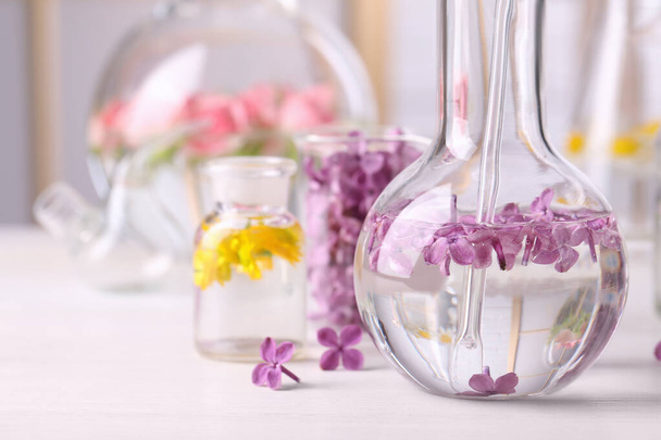 Laboratory glassware with flowers, focus on flask. Extracting essential oil for perfumery and cosmetics - Photo, image