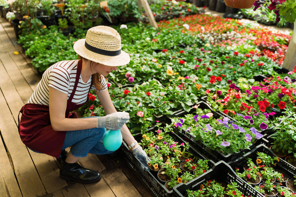 Kobieta ogrodnik w kapeluszu i rękawiczki pracuje z kwiatami w szklarni. - Zdjęcie, obraz