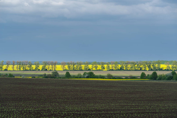 Весняний сільськогосподарський ландшафт, Подільський природний заповідник, Подільська область, Південно-Західна Україна - Фото, зображення