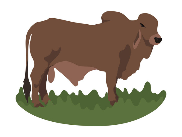 Вектор ілюстрації силуету бика
 - Вектор, зображення
