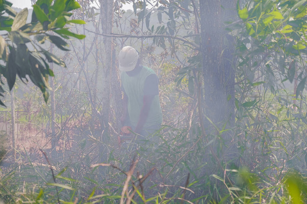 Un uomo che sega un albero con una motosega, brucia e rimuove le piantagioni forestali dai vecchi alberi per preparare un nuovo frutteto. - Foto, immagini