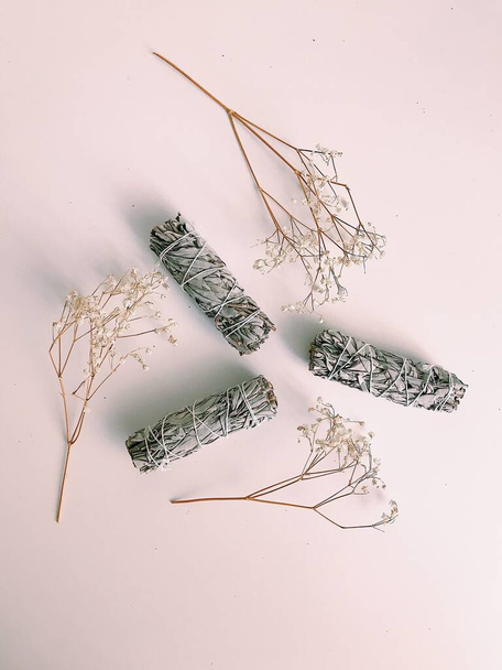 Natural incense White Sage. Sacred tree of South America, color square photo.White Sage on white background. - 写真・画像