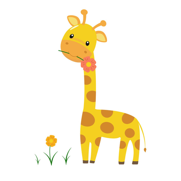 Baby giraffe with a flower in its mouth and grass growing nearby. Vector illustration. - Vektor, Bild