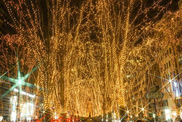 Osvětlení slavnosti Sendai light. Místo střelby: Sendai, prefektura Miyagi - Fotografie, Obrázek