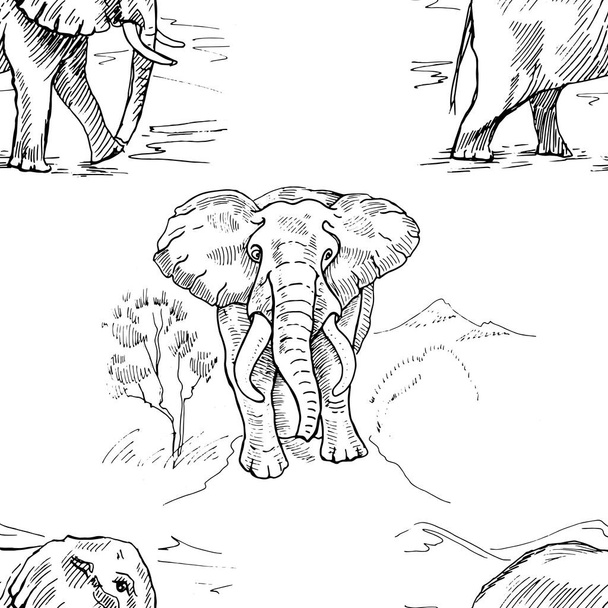 Ελέφαντες Αφρική Σαβάνα σκίτσο χέρι σκίτσο ζωγραφισμένα Patern χωρίς ραφή ύφασμα εκτύπωσης. απομονωμένα ζώα σε λευκό φόντο γραφικά γραμμή φύση άγρια ζώα ζούγκλα - Διάνυσμα, εικόνα