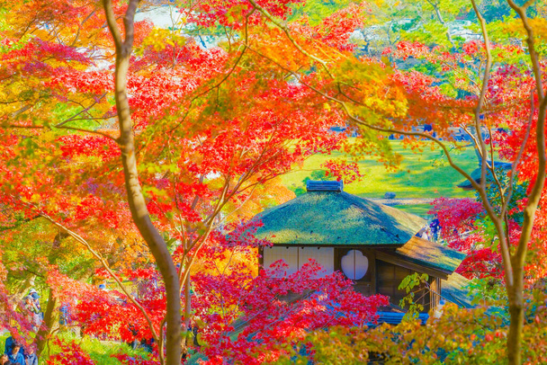 Έντονα φθινοπωρινά χρώματα και το ιαπωνικό σπίτι. Τοποθεσία: Νομός Γιοκοχάμα-πόλη Καναγκάουα - Φωτογραφία, εικόνα