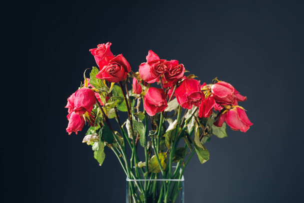 kukkakimppu kuivattuja vaaleanpunaisia ruusuja, lähikuva - Valokuva, kuva