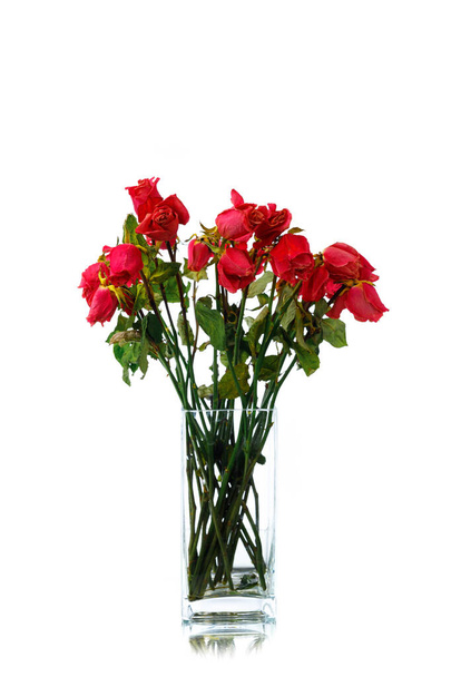 kukkakimppu kuivattuja vaaleanpunaisia ruusuja maljakko, eristetty valkoinen - Valokuva, kuva