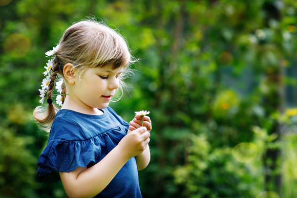Little preschool girl with braids and daisy flowers in long blond hairs. Close-up of toddler child. Summer concept. Children outdoors with daisies flower. Playing he loves me. - Photo, Image