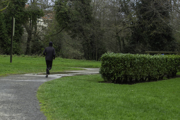 Wet path through grass for walking, running or exercising - Zdjęcie, obraz