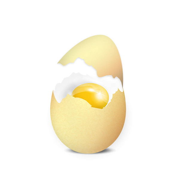 白を背景に卵が砕け - ベクター画像