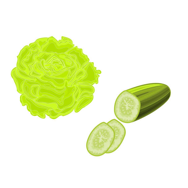 Illustration vectorielle de la laitue et du concombre
 - Vecteur, image