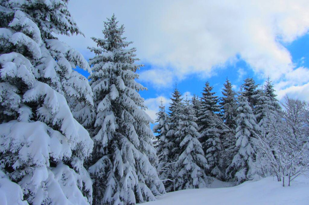 Paisaje nevado en las montañas francesas - Foto, imagen
