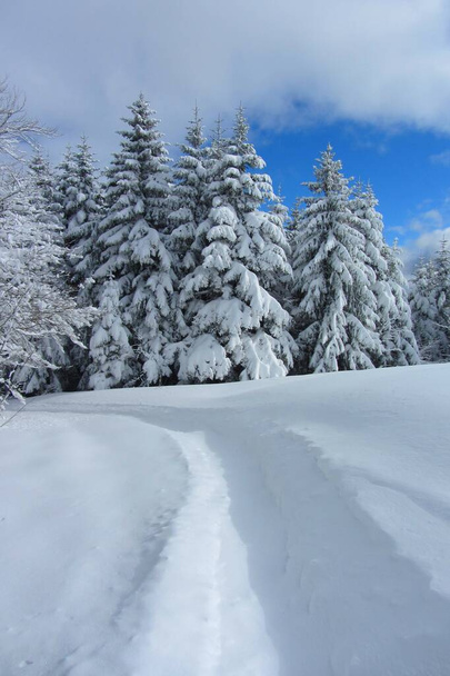 Snowy krajobraz we francuskich górach - Zdjęcie, obraz