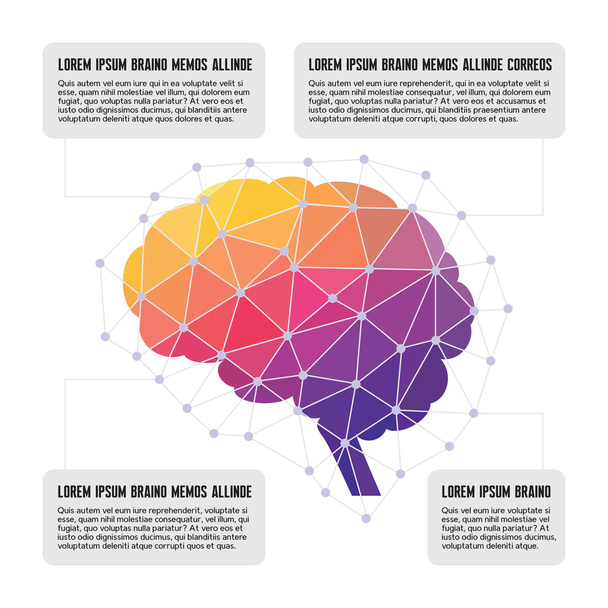 Ihmisen aivot - värillinen monikulmio Infografinen kuvitus
 - Vektori, kuva