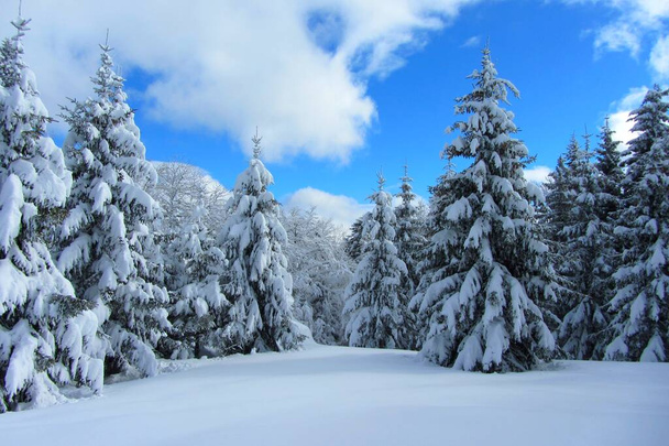 Paisaje nevado en las montañas francesas - Foto, imagen