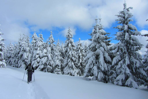 フランスの山々の雪景色 - 写真・画像