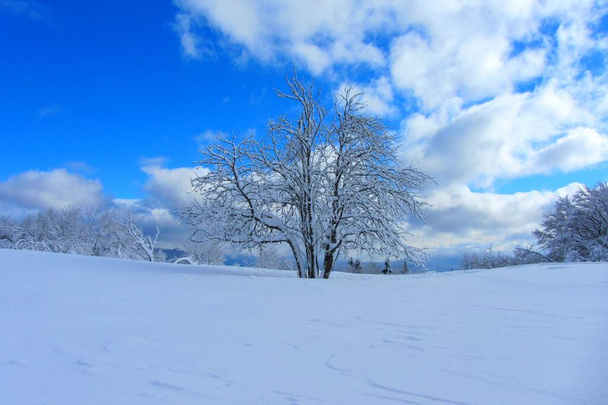 Snowy krajobraz we francuskich górach - Zdjęcie, obraz